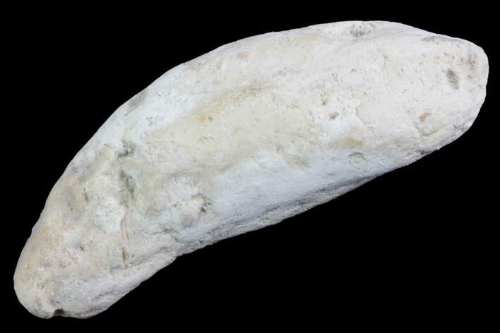 Cretaceous Fish Coprolite (Fossil Poop) - Kansas #93772